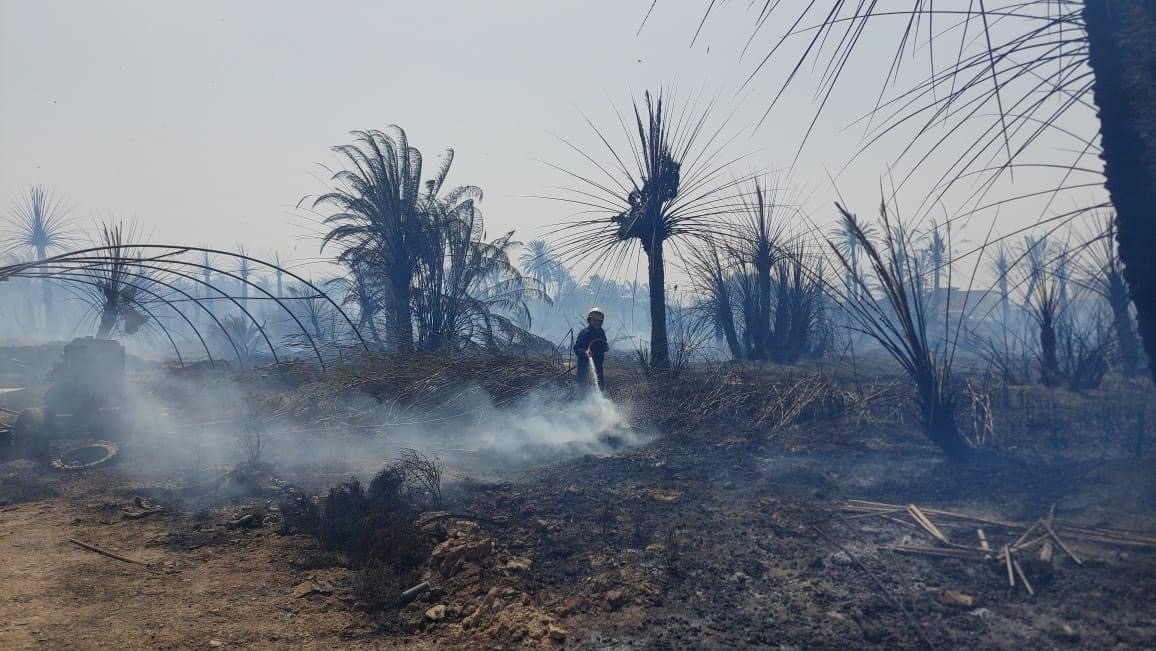 صور.. إخماد حريق طال مناطق زراعية جنوبي العراق