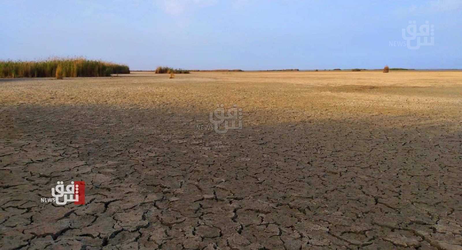 "موت بطيء" يداهم أهوار العراق وناشط بيئي يؤكد جفاف بعضها
