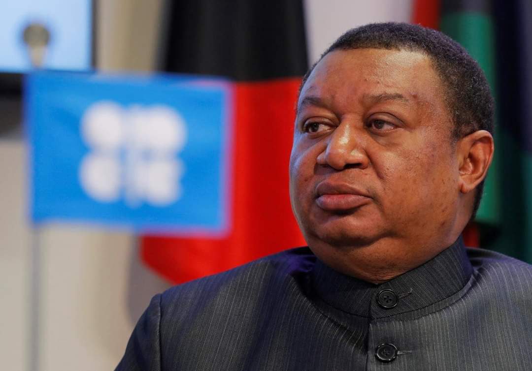 OPEC chief says common objective with non-OPEC partners is market stability