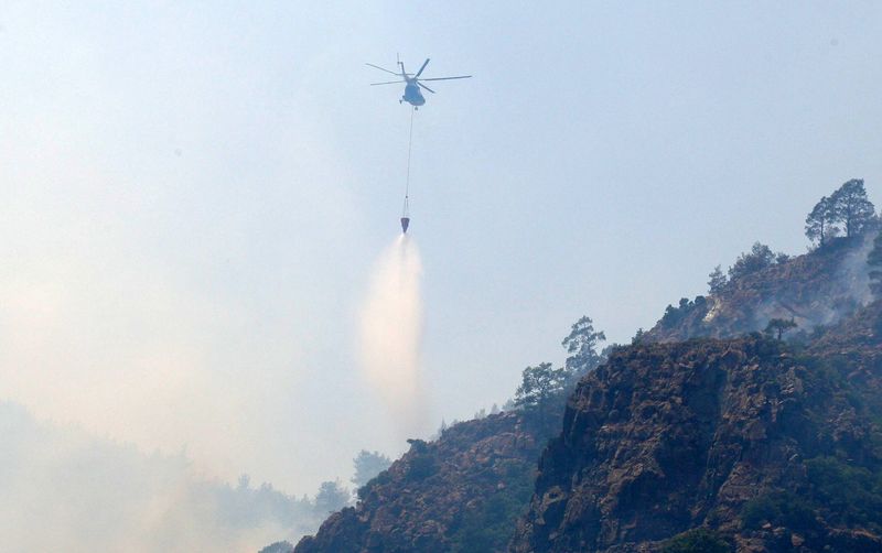 تركيا تكافح لاحتواء حريق الغابات من البر والجو