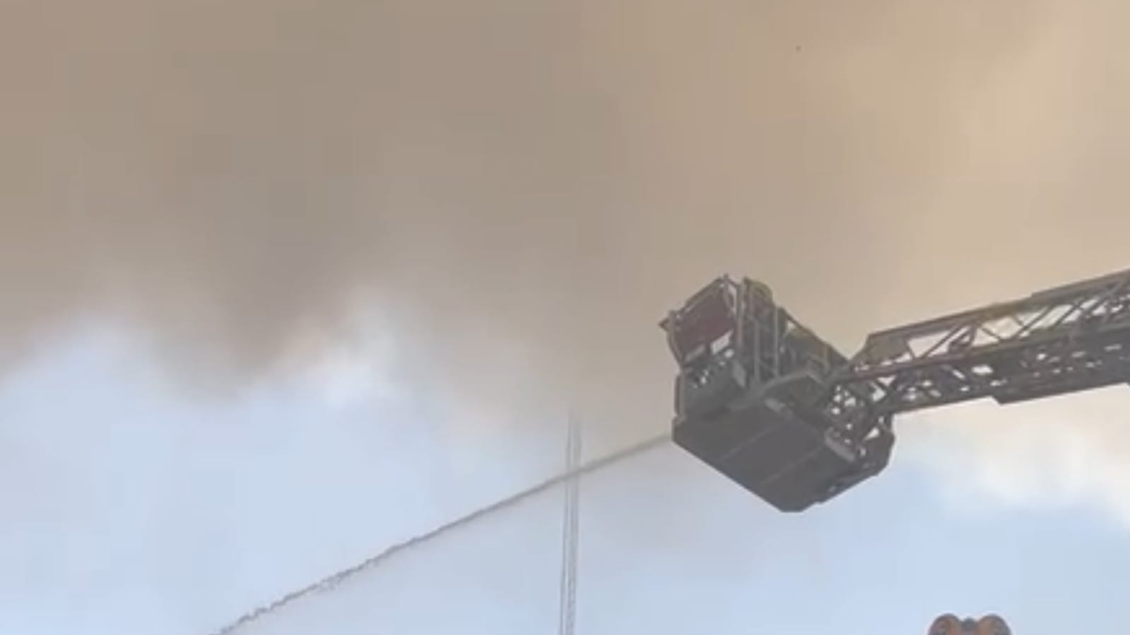  اندلاع حريق كبير في غابات الموصل .. فيديو