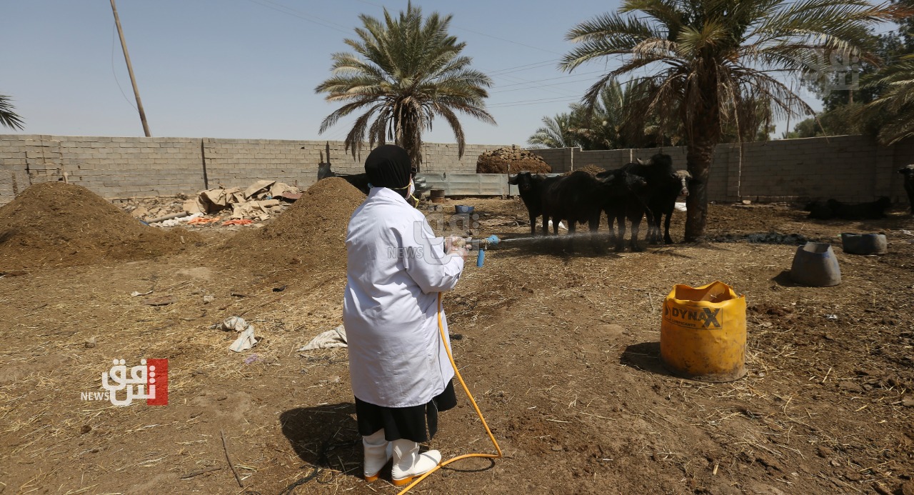 العراق يسجل 6 إصابات جديدة بالحمى النزفية بينها حالة وفاة
