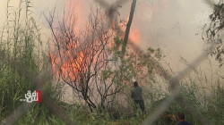 حريق في "كهرباء" معسكر التاجي