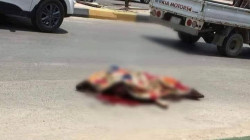  (تحديث) مقتل "شيخ عشيرة" في نزاع مسلح جنوبي العراق