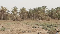 ديالى.. إرجاء تظاهرة "ضد الجفاف" بعد وعود حكومية