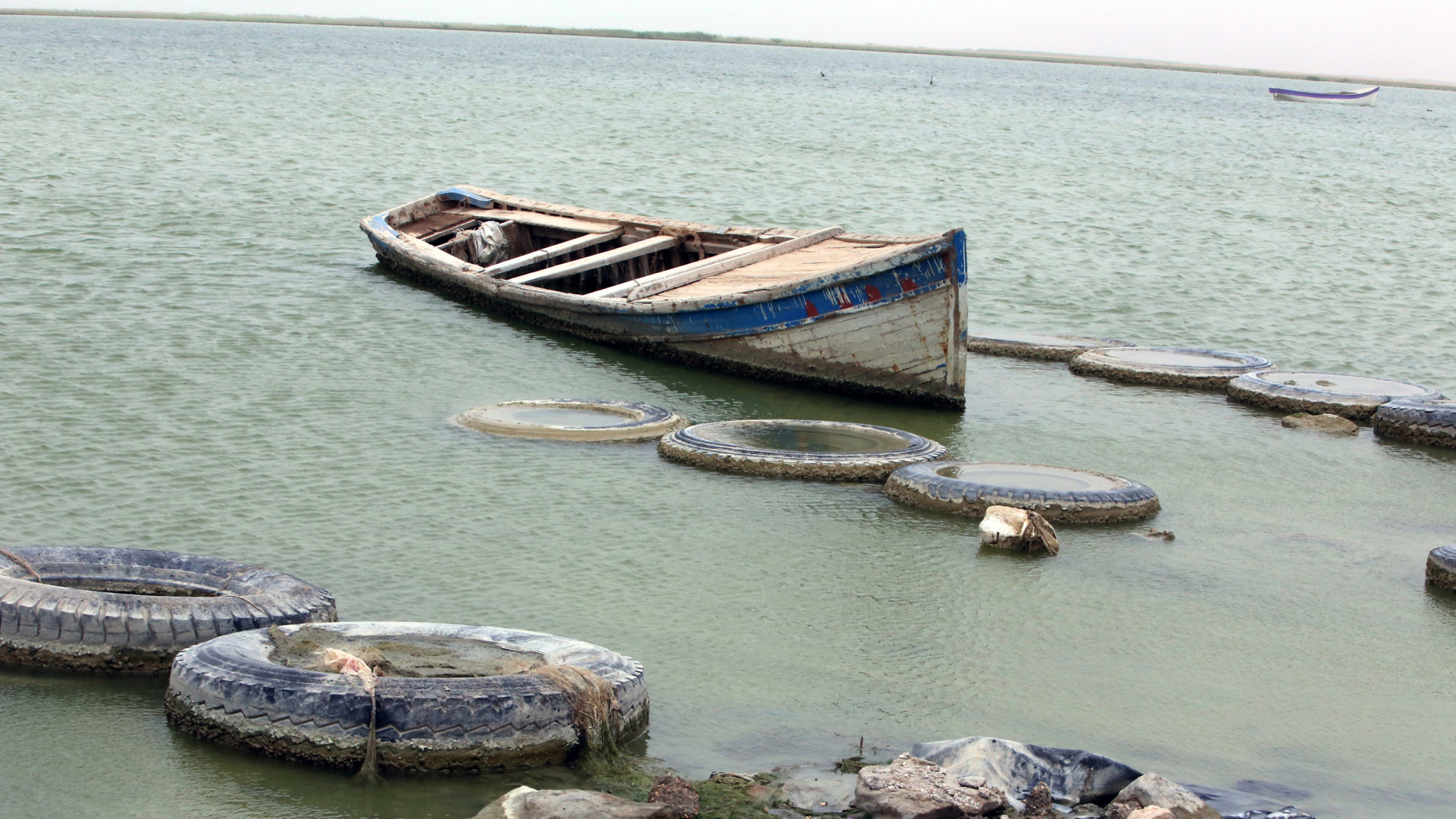  "دون اهتمام".. نفوق الأسماك في ثاني كبريات بحيرات العراق