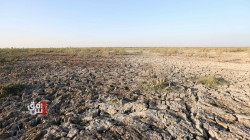 FAO warns of threat to the communities in Iraqi Marshes and call for immediate action