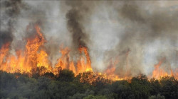الحرائق تجتاح غابات فرنسية وإجلاء 10 آلاف شخص دمرت منازلهم