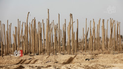 موقع عالمي يؤشر ارتفاعاً كبيراً للتلوث في العراق وانخفاض المناطق الخضراء