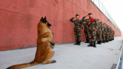 حقيقة تأدية الجنود الصينيين التحية لكلب يوم تقاعده