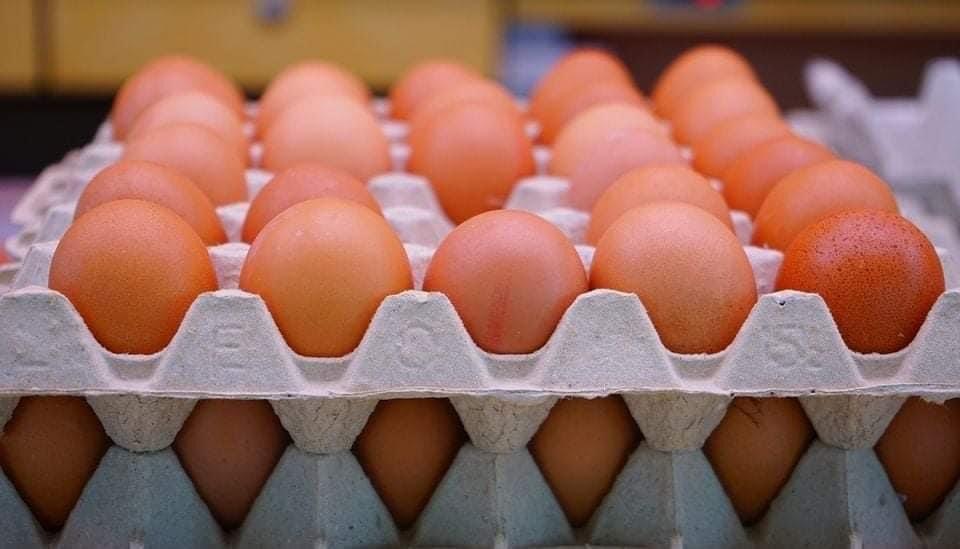 64 مليون بيضة في شهر.. زراعة البصرة تكشف "سر" الإنتاج الكبير" 