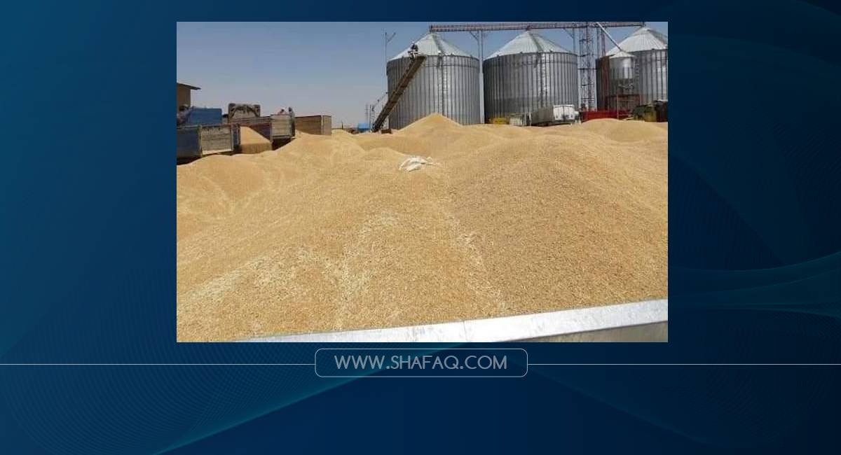 تجارة كوردستان تعلن تمديد استلام الحنطة من الفلاحين أسبوعاً آخر