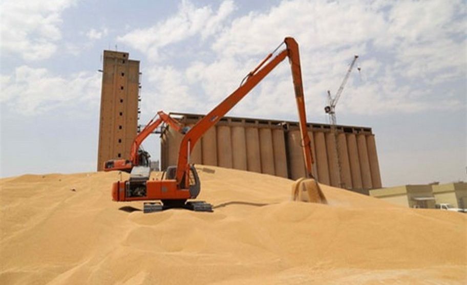 تجارة إقليم كوردستان تعتزم بناء صومعات جديدة لاستيعاب كميات القمح
