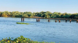 Iraqi forces, PMF carry out an operation against terrorists in Saladin