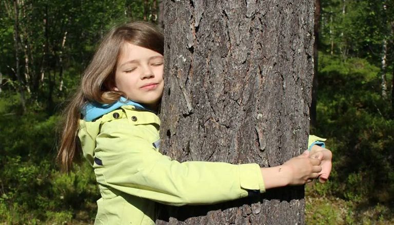 Treehugging world championship took place in Arctic Finland