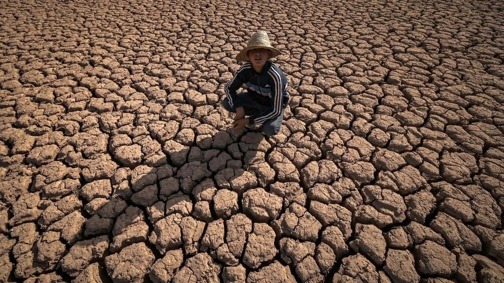 القادم مظلم .. حجم الضرر العالمي بسبب الجفاف يتجاوز 132 مليار دولار وأوروبا تعاني الأسوأ منذ 500 عام 