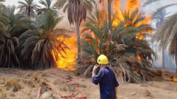 صور .. النيران تلتهم عشرات النخيل بحريق في مناطق وبساتين زراعية جنوبي العراق