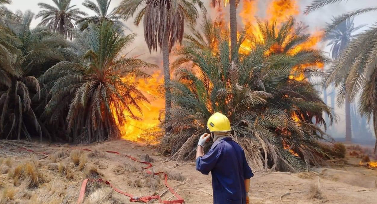 Flames engulf +250 palms in southern Iraq 