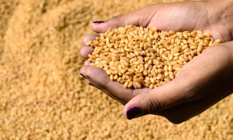 الأمم المتحدة: الدول النامية ستشعر بالجوع بسبب انسحاب روسيا من اتفاقية صفقة الحبوب