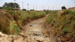 أين وزارة الموارد المائية؟.. تقرير ينتقد سوء مواجهة الجفاف في العراق