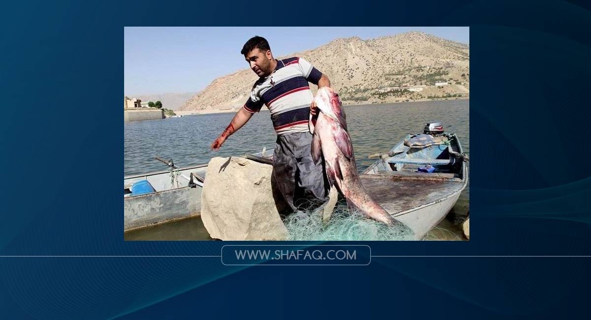 إلى أقل من النصف.. ‏انخفاض أسعار السمك في ‏‏إقليم ‏كوردستان يثير "الجدل" بين البائعين 