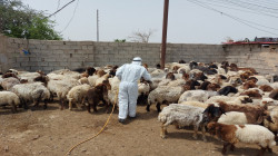 هوشداری لە فەوتیان "پەس" لە پارێزگایگ عراقی
