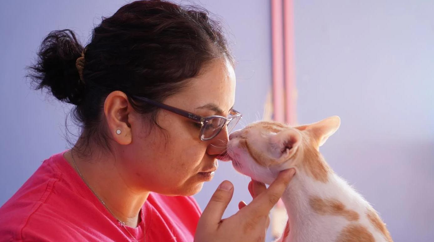 PalestinianSyrian refugee opens Iraqs first cat and dog hotel