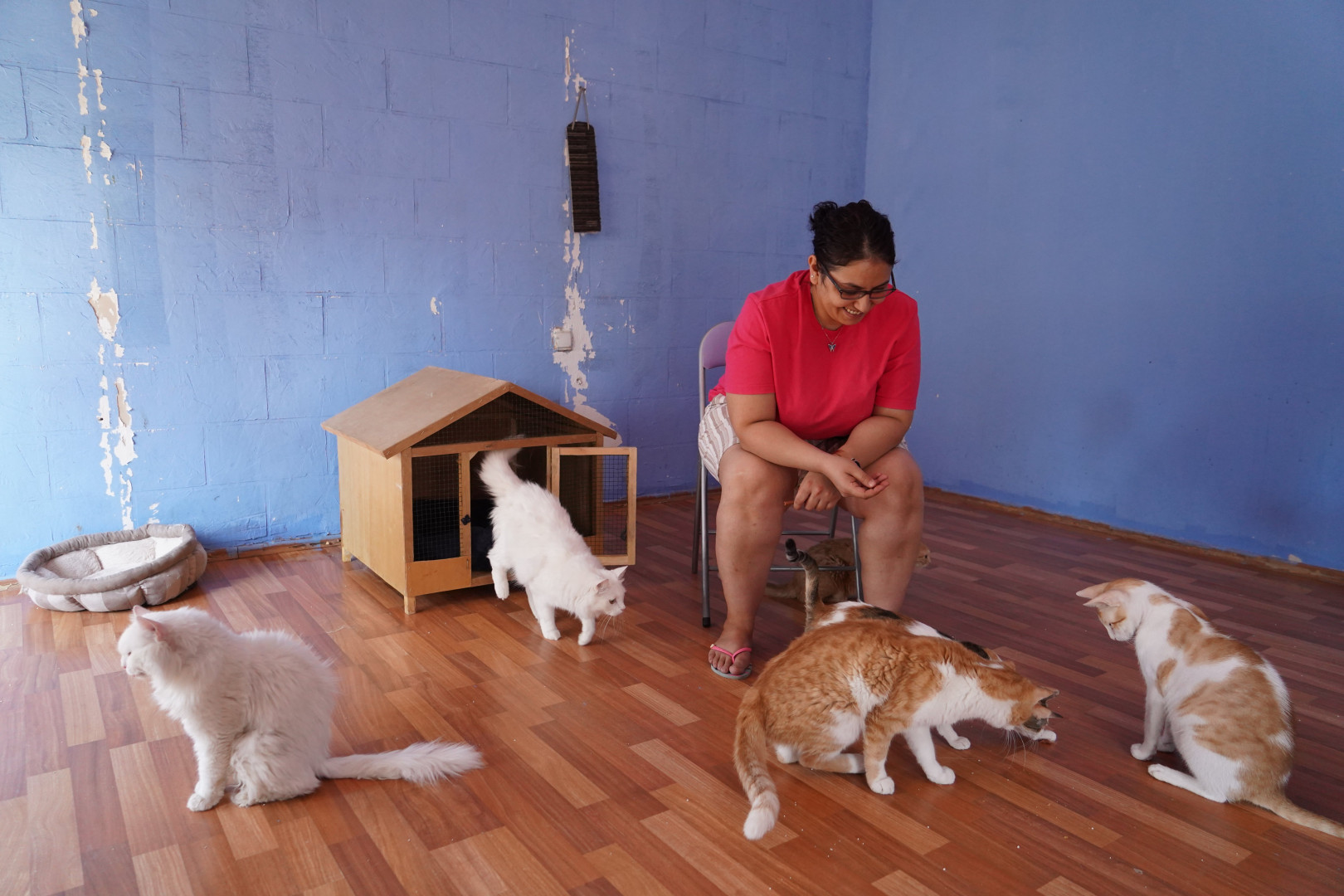 Palestinian-Syrian refugee opens Iraq's first cat and dog hotel