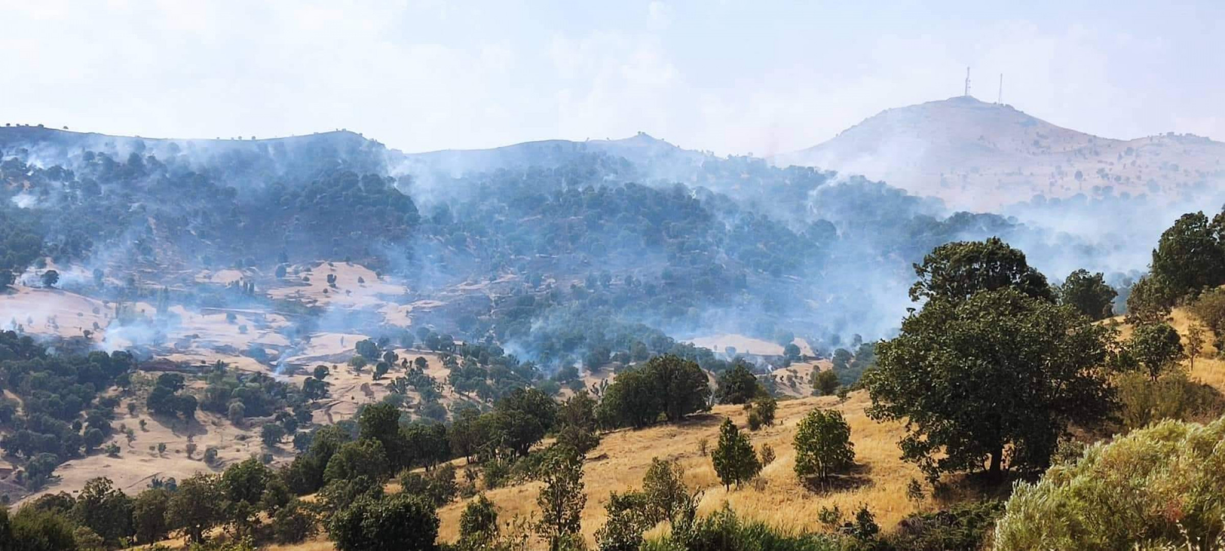 صور .. حريق هائل يلتهم مئات الدونمات من المساحات الطبيعية بالسليمانية