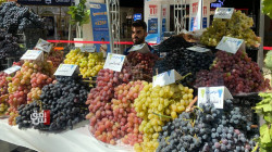 دهوك تقيم مهرجان العنب والعسل الخامس عشر (صور)