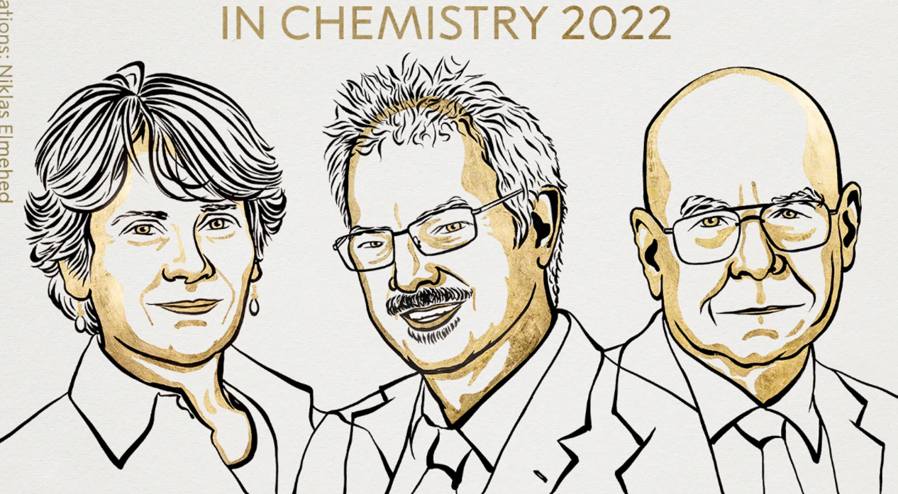 Nobel Prize goes to click chemists who discovered how to snap molecules together like Lego