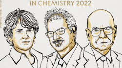 Nobel Prize goes to click chemists who discovered how to snap molecules together 'like Lego’