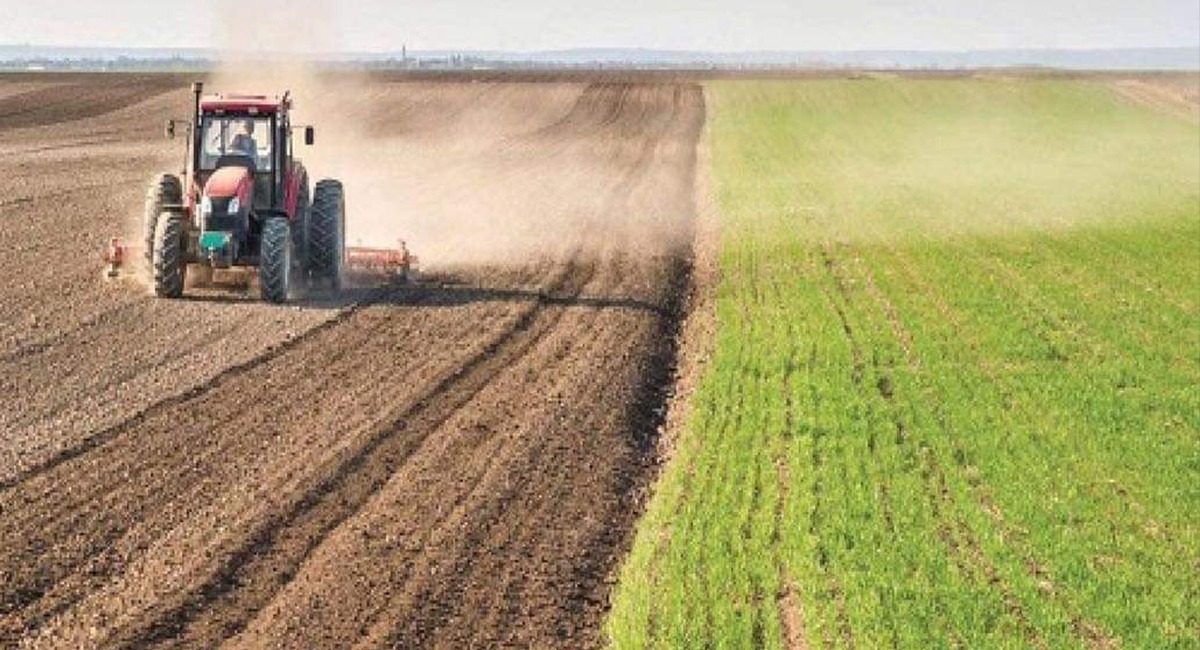 "الإقطاع الزراعي" يعود مجدداً.. مئات المزارعين في ديالى يستغيثون لإنقاذهم "الاستعباد"