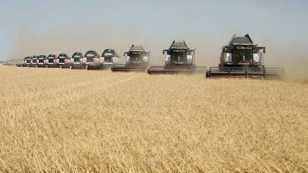 Wheat Soars as Kyiv Blasts Boost Risks to Ukraine Grain Exports