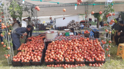 بمشاركة مئات المزارعين .. إنطلاق مهرجان الرمان الثامن في حلبجة (صور)