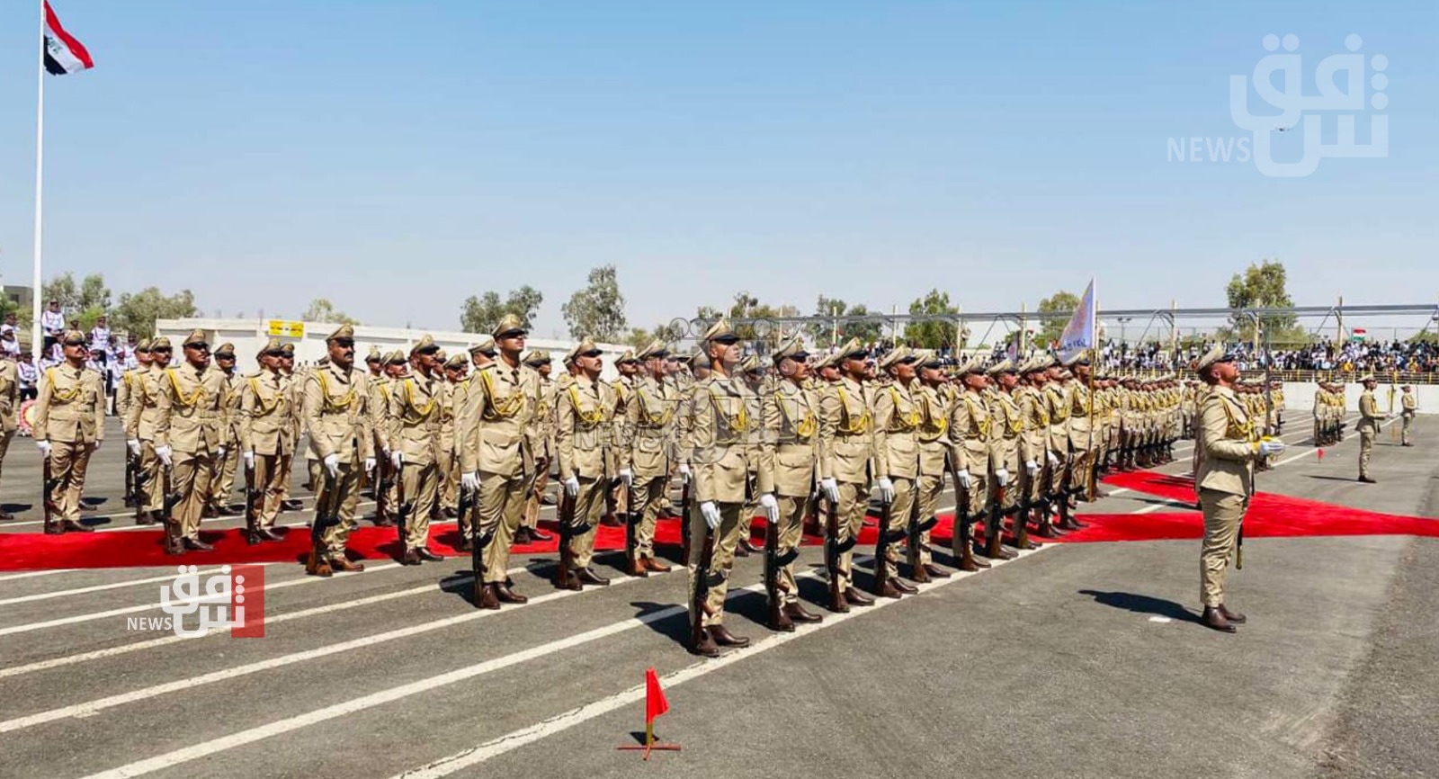 برلمانية تقترح قانون "التوظيف الإجباري" بدلا من "التجنيد الإلزامي" وتذكّر بالبعث والانقلابات