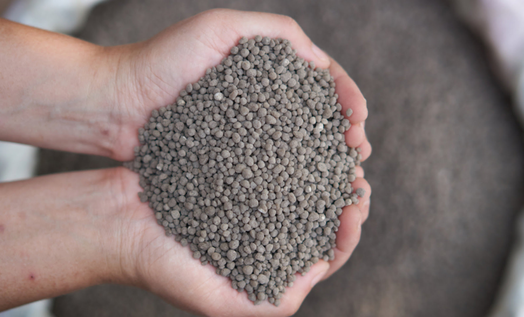 A corruption scandal: 1000 tons of DAP fertilizer are carcinogenic