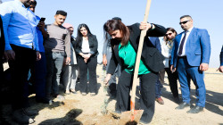 إقليم كوردستان يواجه التغيرات المناخية بزراعة مليون شجرة سنويا
