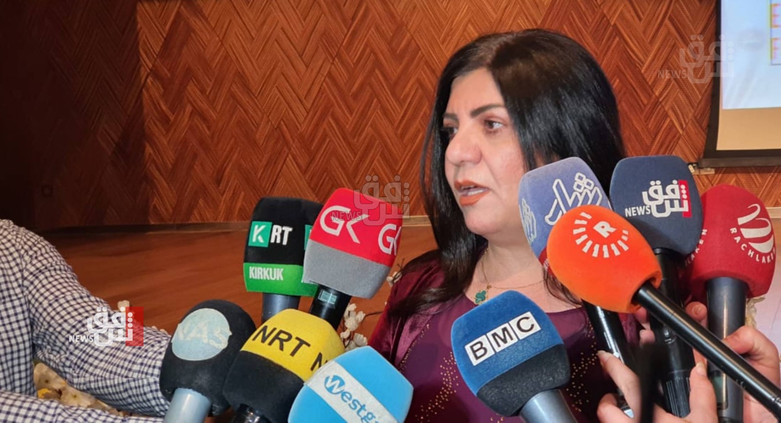 International media needed to break stereotypes about Kurdistan-official