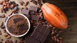 دراسة طبية تكشف عن أسرار الشوكولاتة