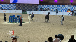 أربيل تحتضن المهرجان الدولي للخيول العربية (صور)
