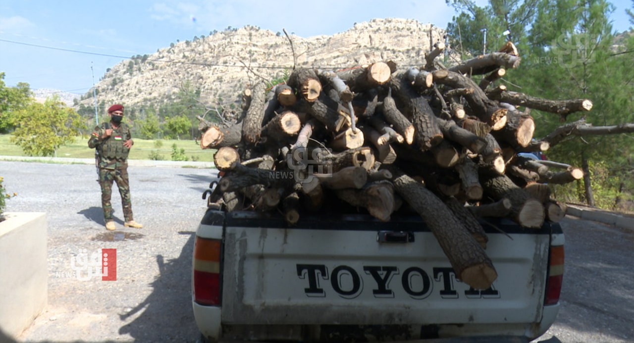 شرطة الغابات في السليمانية: قطع 5 آلاف شجرة واعتقال قرابة 150 مخالفاً
