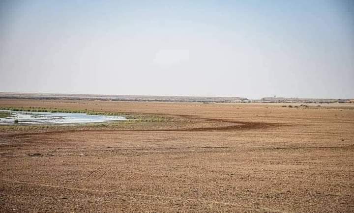 الجفاف يفرض واقعاً "مؤلماً" على بحيرات العراق ويحوّل الصيادين لبائعي "موز"