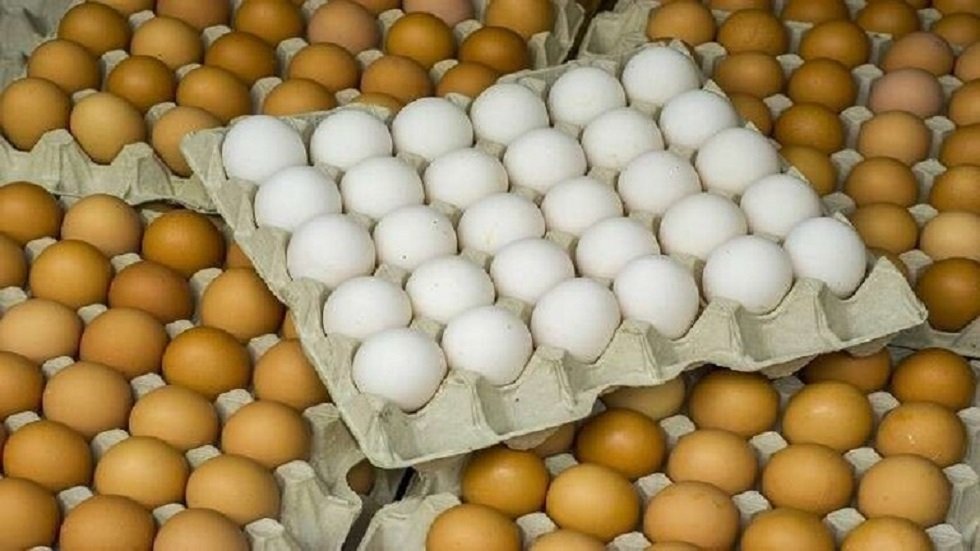 التجارة تباشر ببيع البيض في عدة مراكز في بغداد بهدف خفض الأسعار