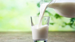 دراسة عملية تكشف عن دور "الحليب" في زيادة حجم الإنسان القديم