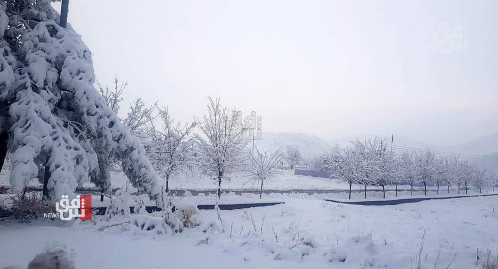 بسبب كثافة الثلوج .. تعليق الدوام بمدينة في إقليم كوردستان