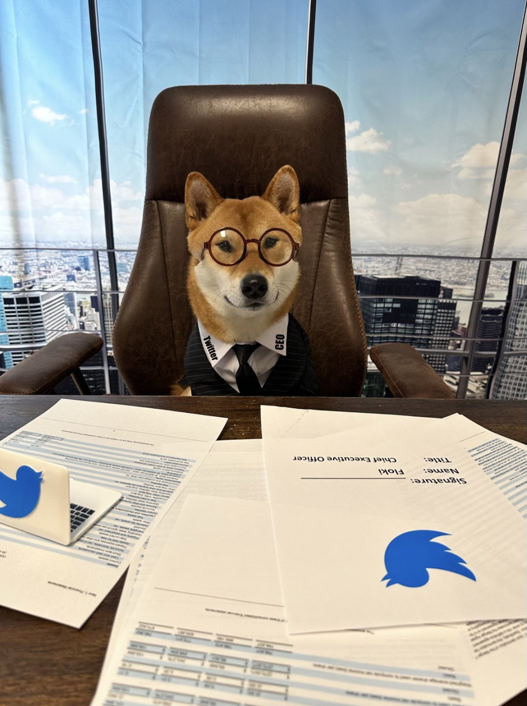 Elon Musk makes his dog the new CEO of Twitter