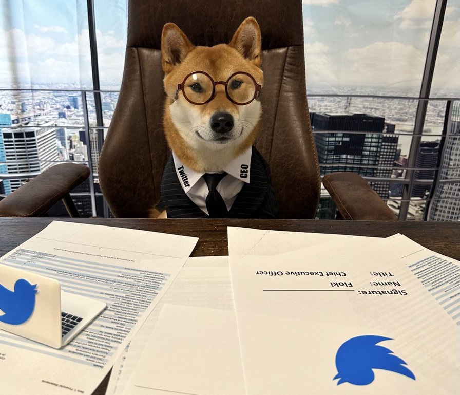 Elon Musk makes his dog the new CEO of Twitter
