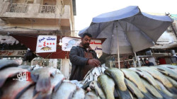 منتجو الأسماك يشكون تناقض تعليمات وزارتين: أنقذوا ثروتنا بلا توعد