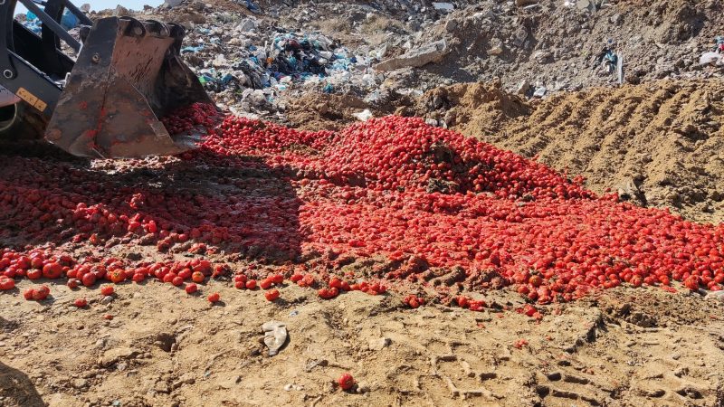 إقليم كوردستان يُتلف 7 أطنان من الطماطم الإيرانية